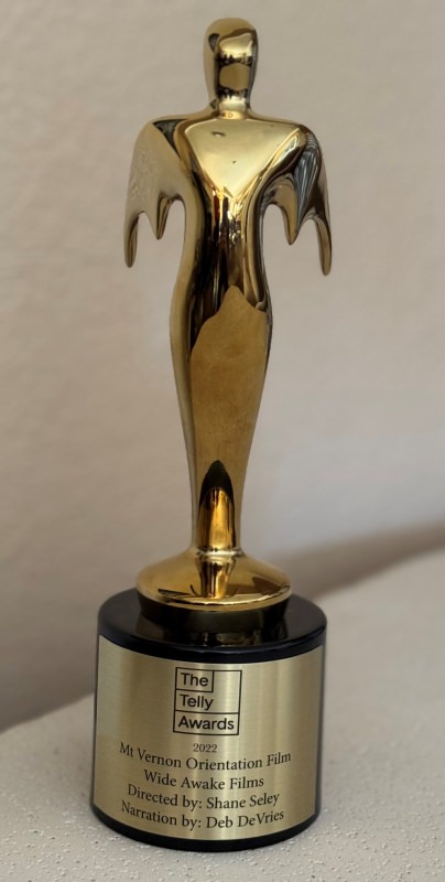 2022 Gold Telly Award for Non-Broadcast Museums & Galleries