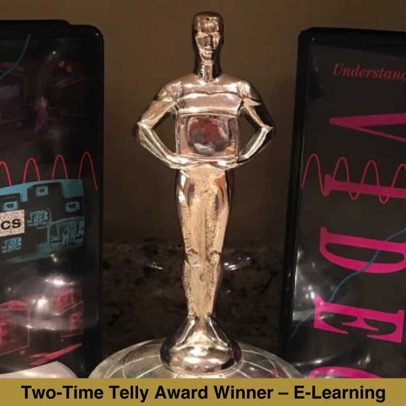 Gold Telly Award for E-Learning